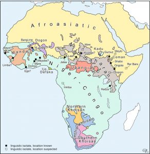 Taalfamilies van Afrika (© Prof. G.J. Dimmendaal)