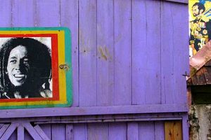 Reggae – De stem van Afrika